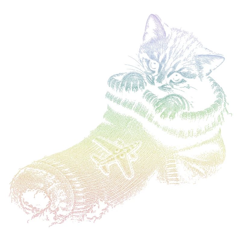 kitten