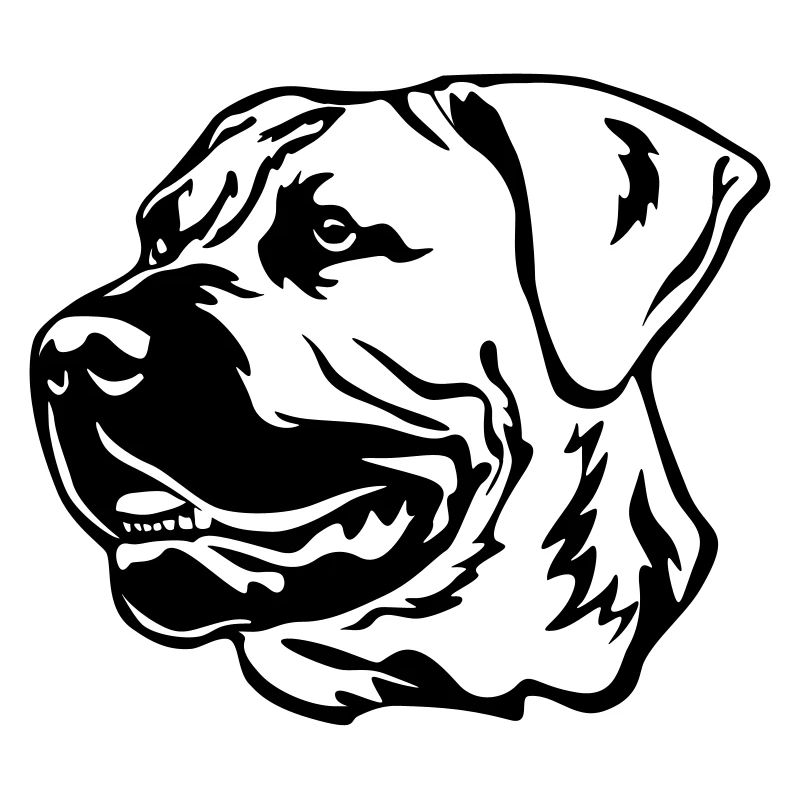 Boerboel Head