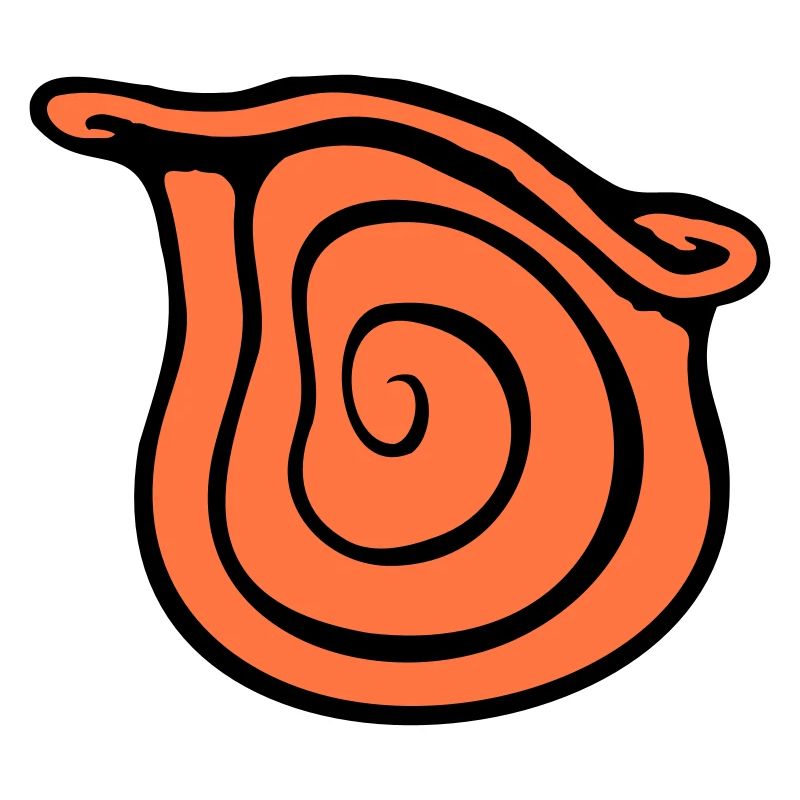 coquille d’escargot escargot insecte maison spirale cool