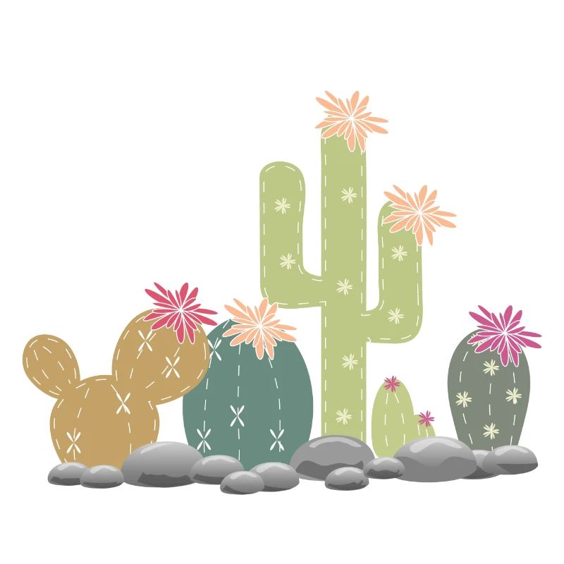 Cactus rock garden with different cacti