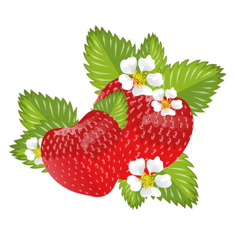 Fraises entourées de feuilles vertes et de fleurs