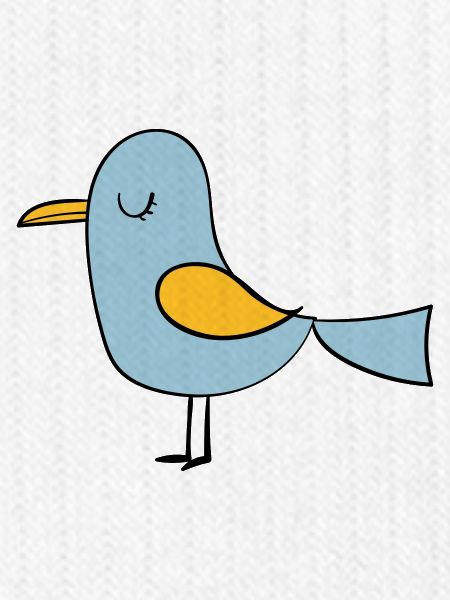 bird