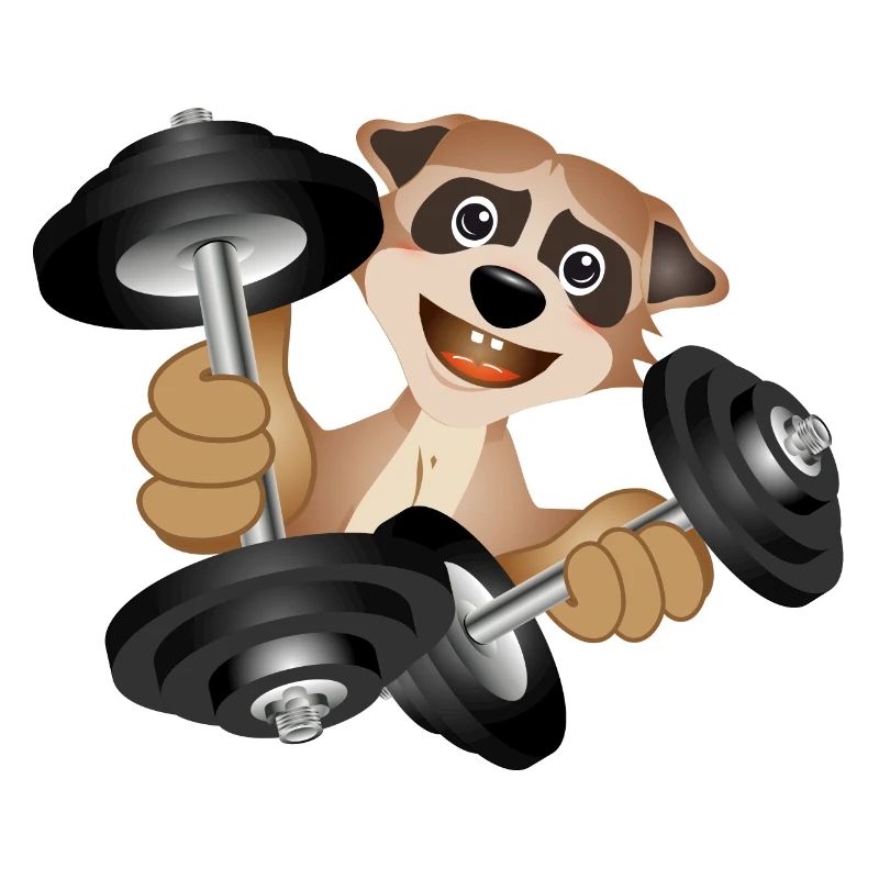 Bodybuilder Erdmännchen mit Hanteln beim Training