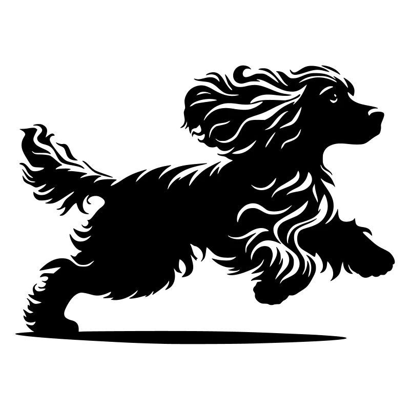 Cocker Spaniel