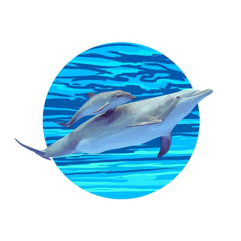 Dolphin