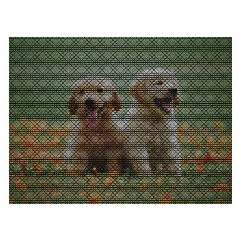 Two Labrador Retriever puppies with triangle pattern