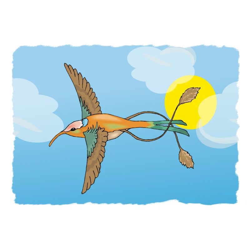Le colibri