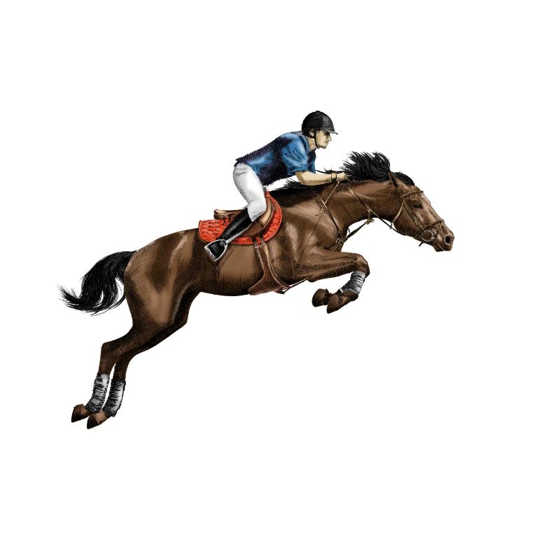 Cavalier en mode course