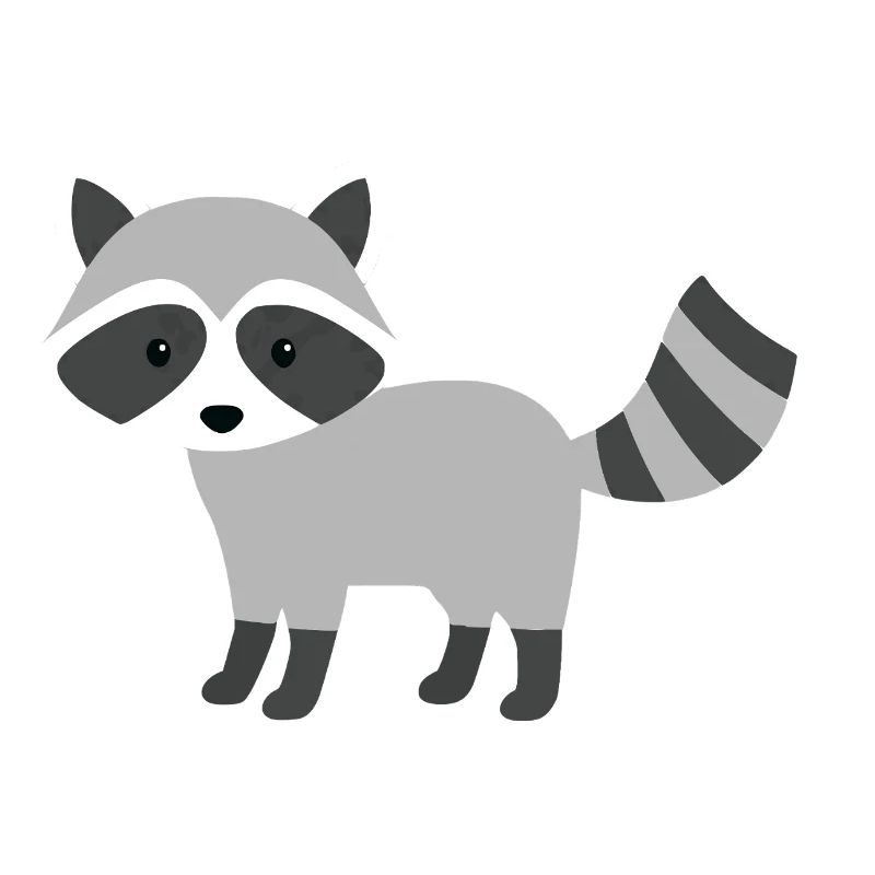 Cute curious racoon minimalist style