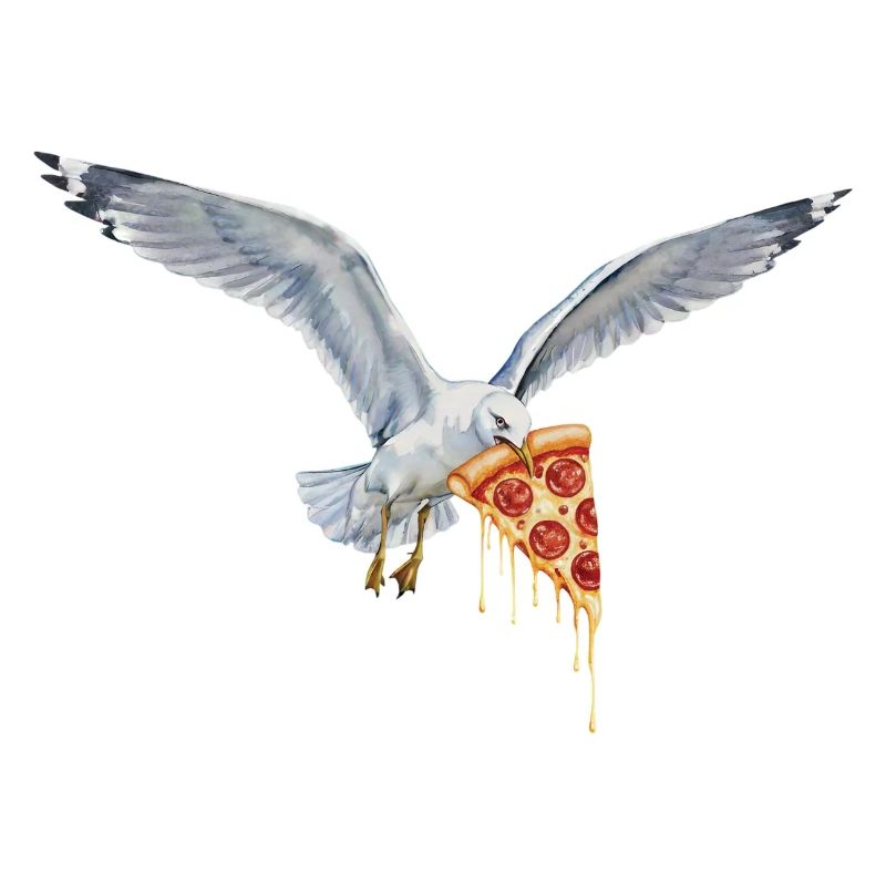 Boulderer Colorsplash Boulder Bouldern