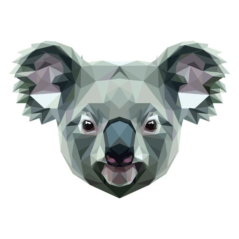Koala Bear Australia Koala Bear Cute Koala Bears