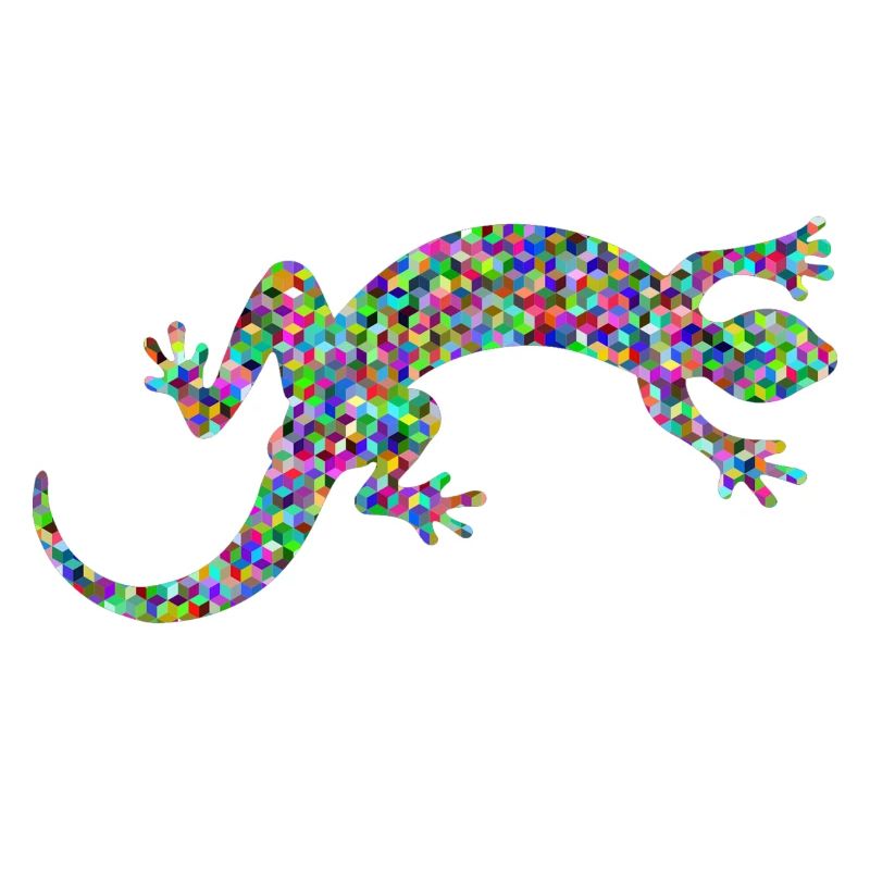 Gecko, Salamander, patterncontest