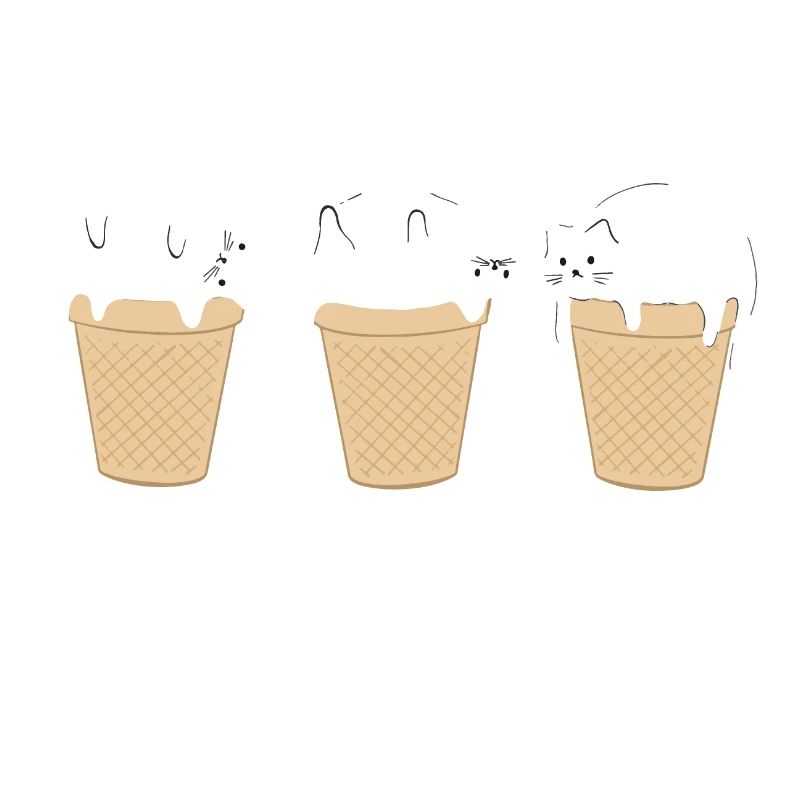 Glace Glacée Chat Drôle de Chat Bébé Glace