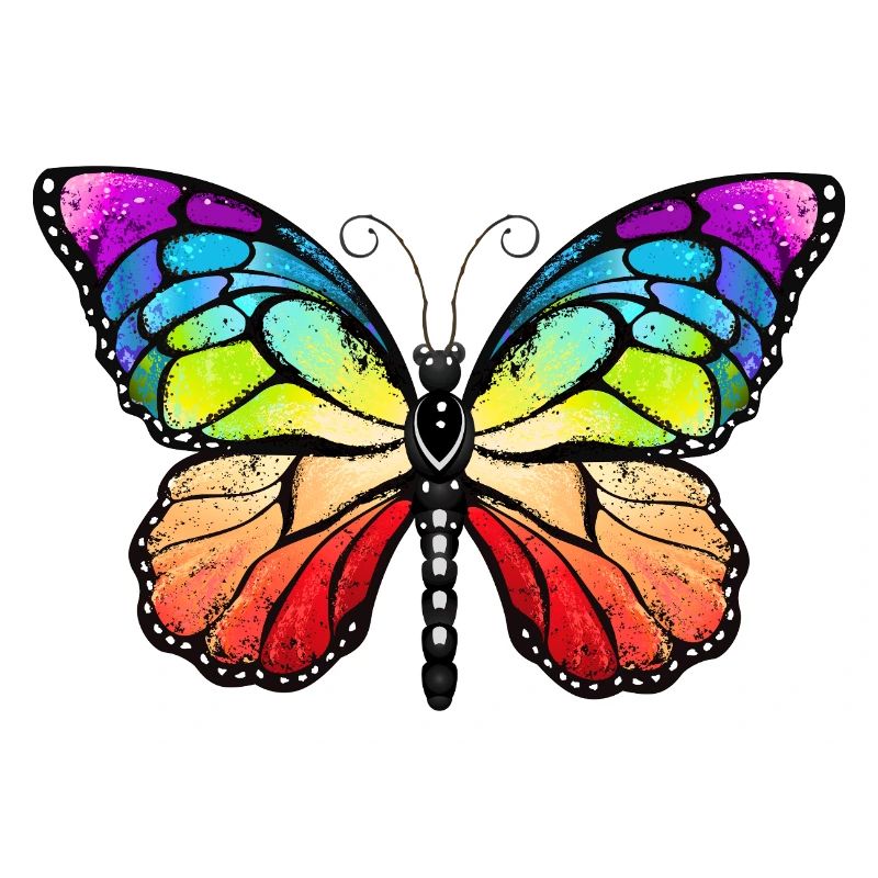Rainbow pride butterfly