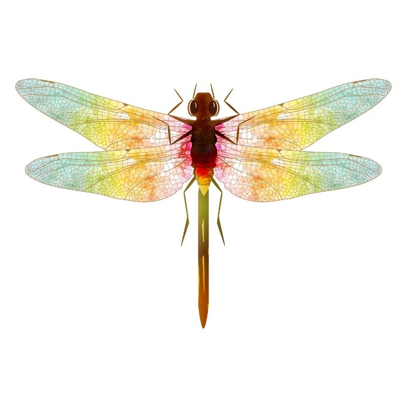 Iridescent Dragonfly – Filigree Insect Motif