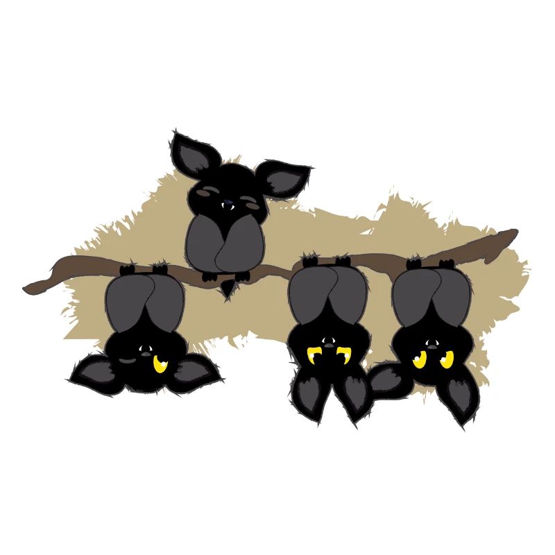 Fledermaus andersrum