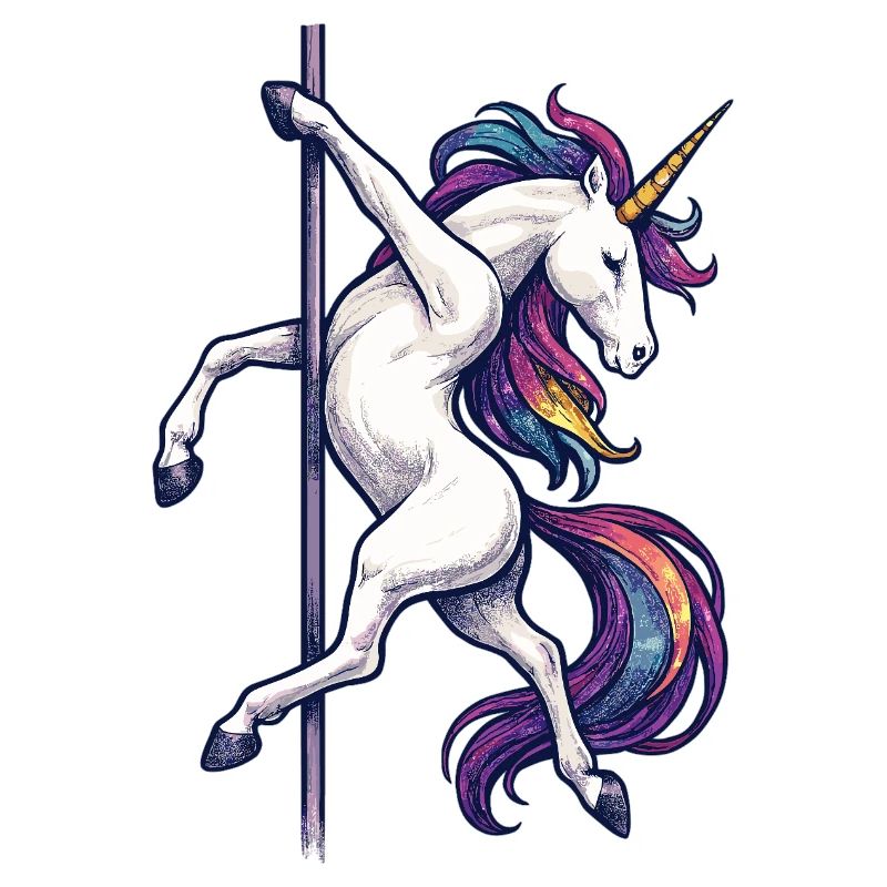 Pole Dance Licorne Pole Dancer Pole Gift