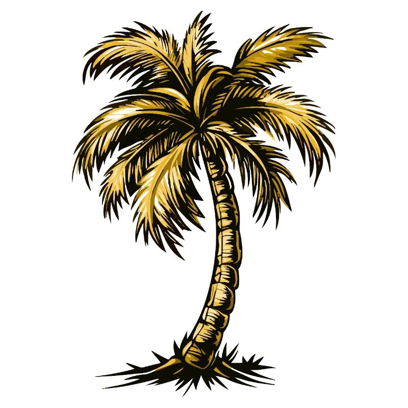 Plage de Palm Tree