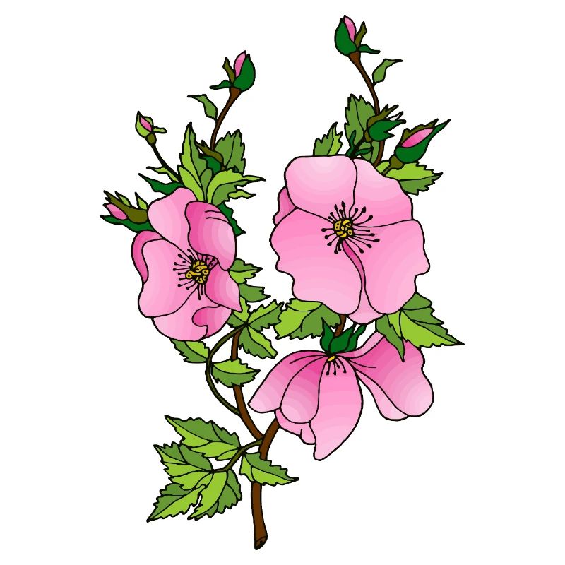 Fleur