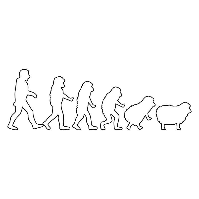 Evolution to Sheep: Herd Mindset