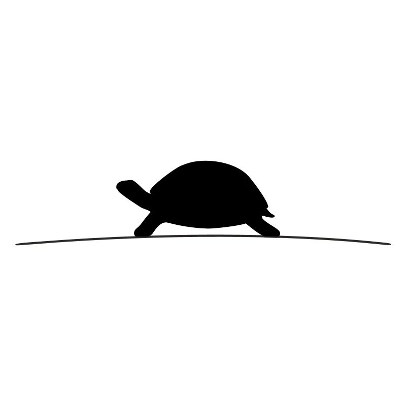 Silhouette de la Tortue