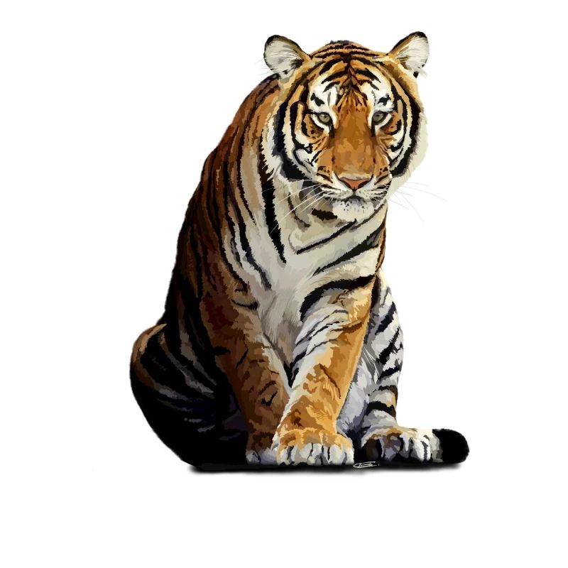 tiger