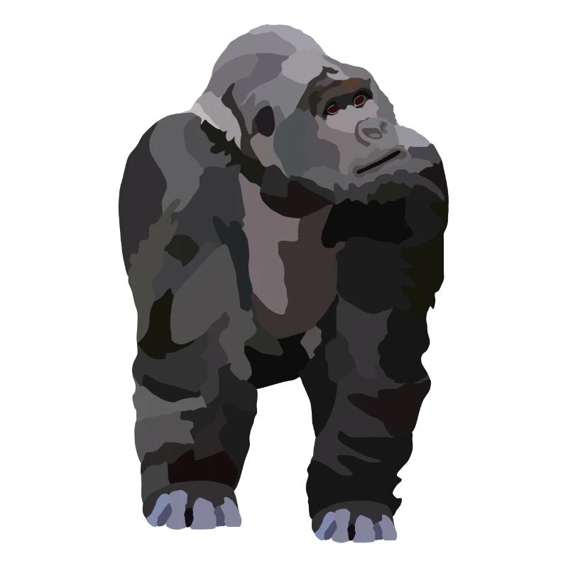 Gio, der Gorilla
