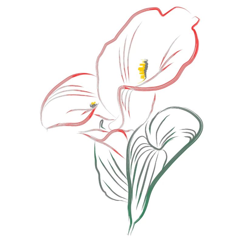 CALLA mix Red-Pink