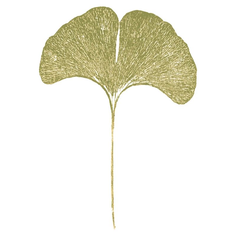 Gingko Leaf