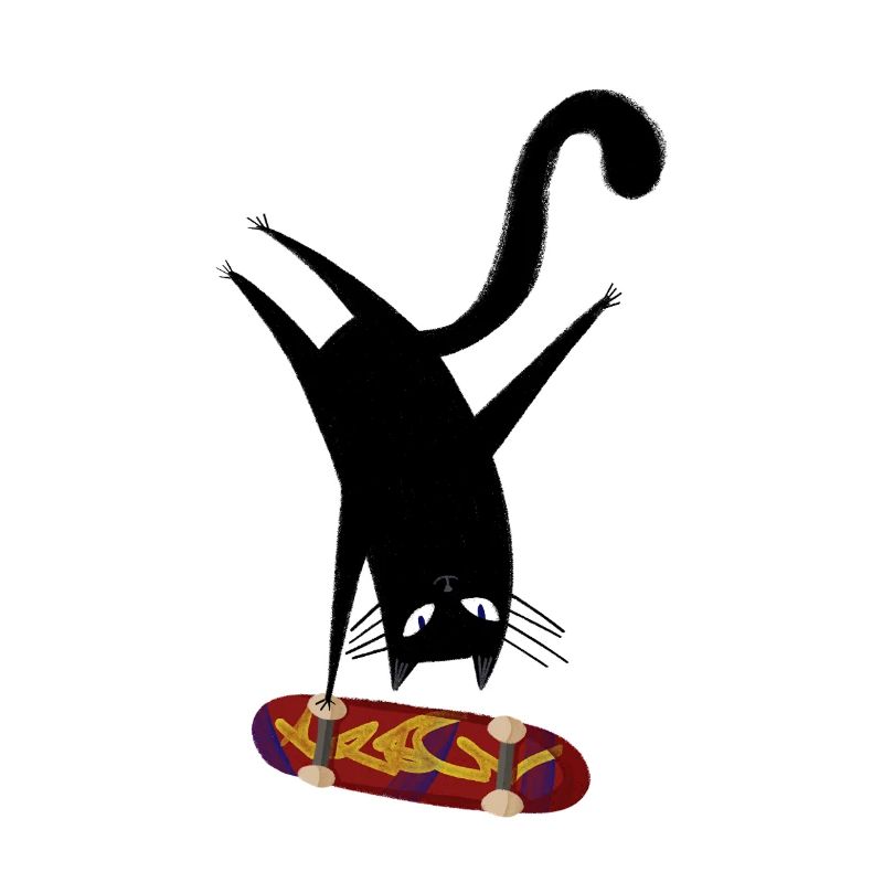Skateboard pour chat