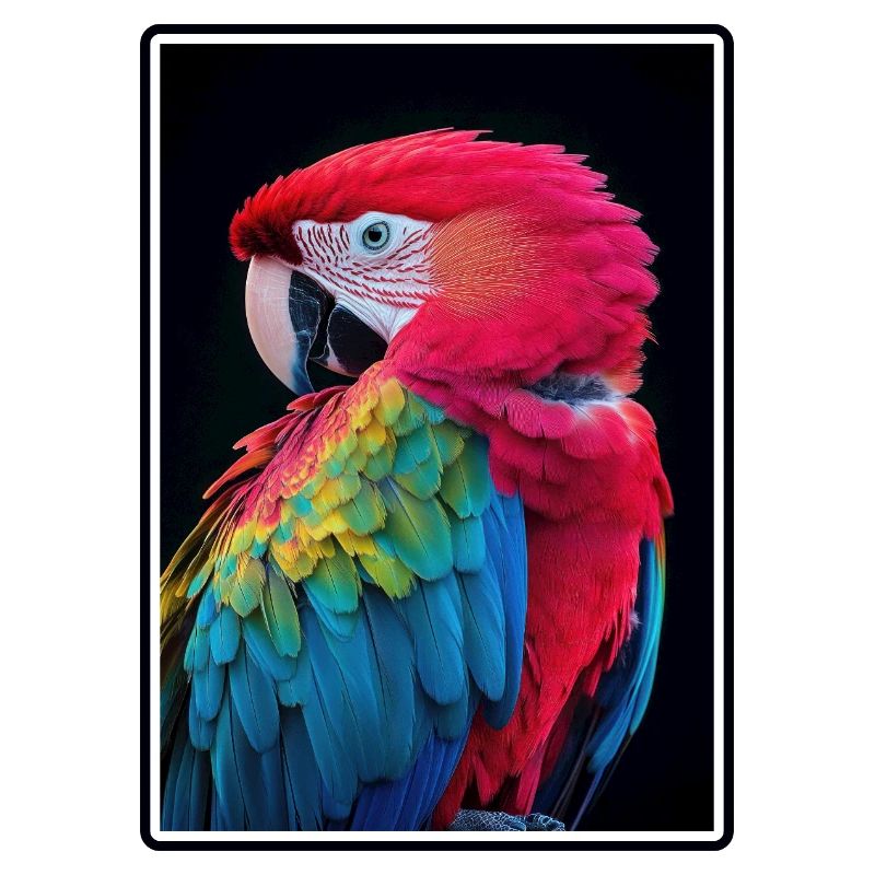 Macaw's Era