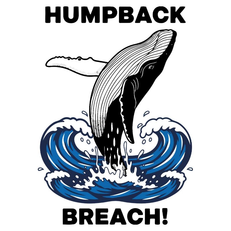 Buckelwalbruch Seebuckelwal
