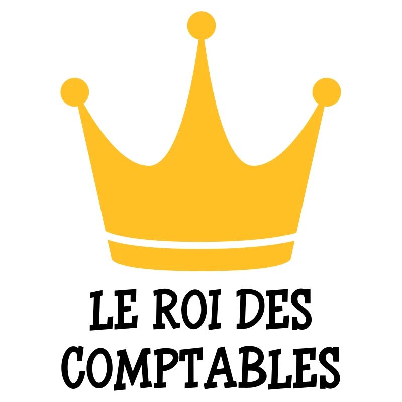 comptable / comptabilité / argent / Finance / Euro