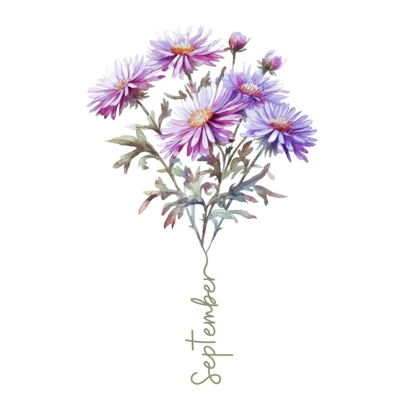 Bouquet de gâteau d’aster fleur de septembre