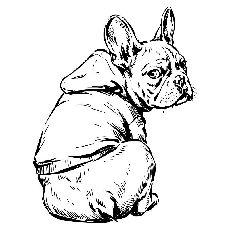 Bouledogue français Pull câlin