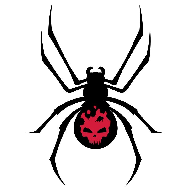 Schwarze Spinne mit Skull Muster