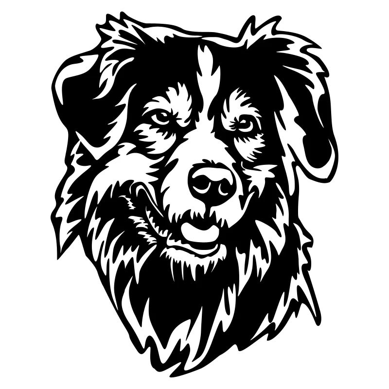 Australian Shepherd Head