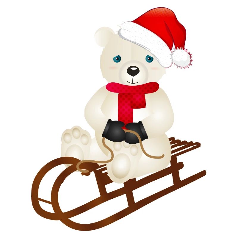 enchanting polar bear while sledging