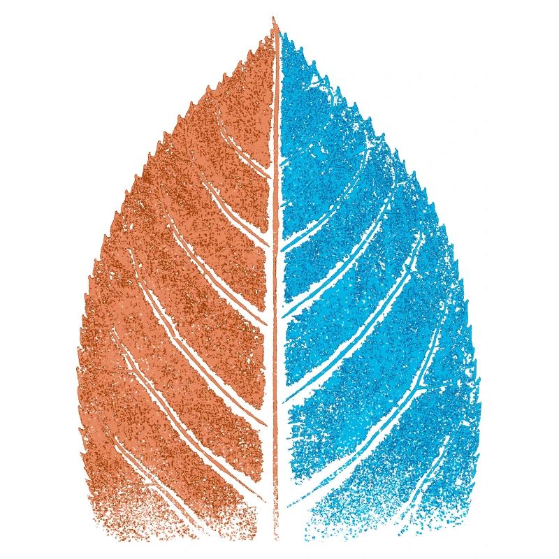 Leaf - Blue / Red - Beech Leaf