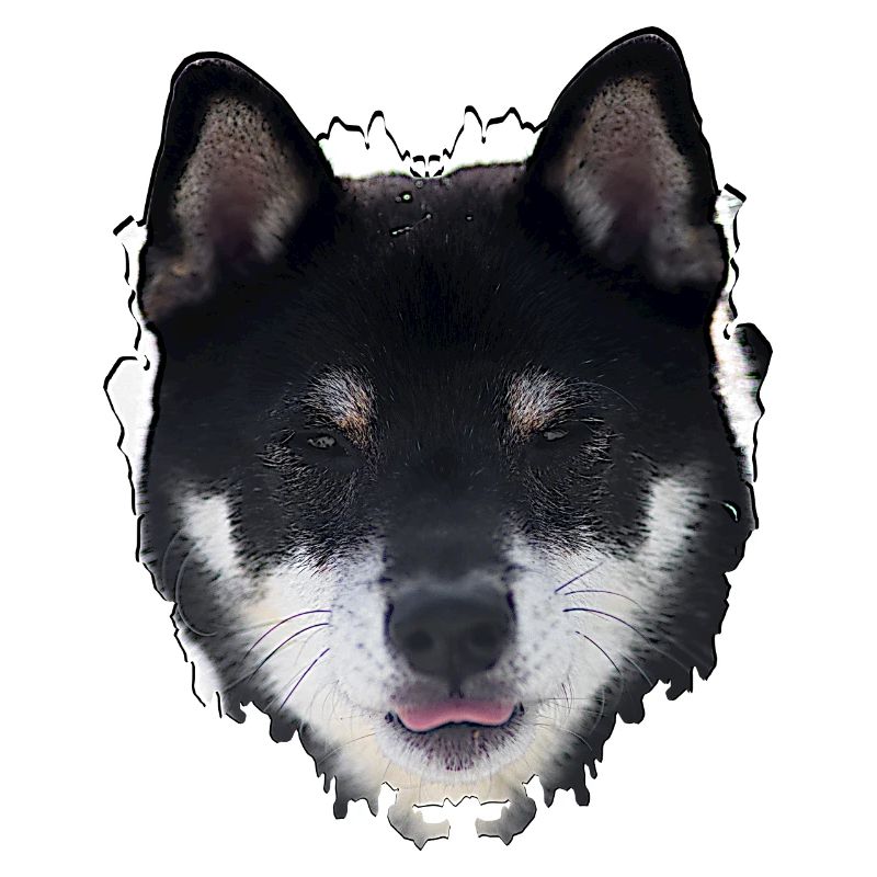 Conception du visage du chien de nuit