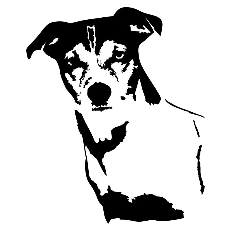 Jack Russell Terrier Kopf