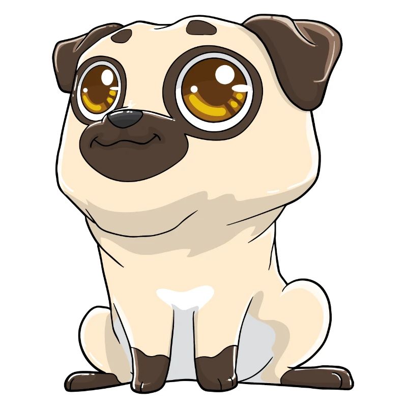 Cute pug with big eyes