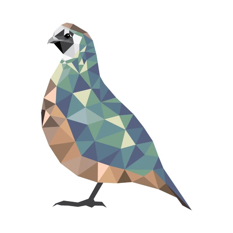 Polygon Quail Quail Breeder Quail Gift