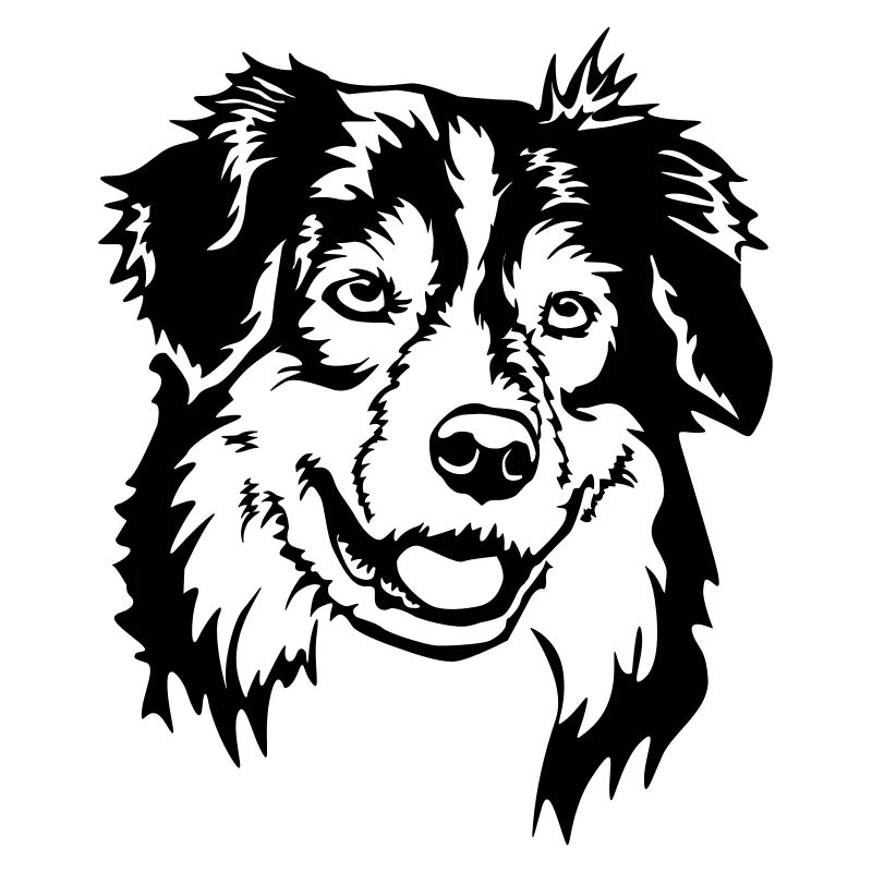 Tête de Shepherd australien