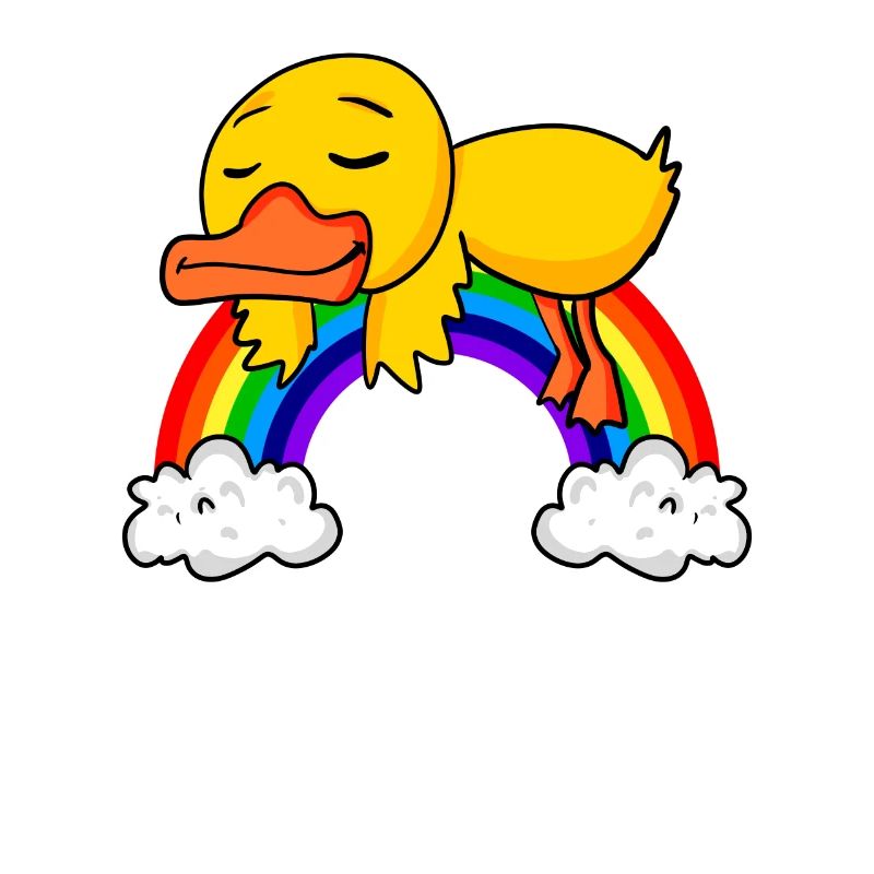 Rainbow Duck