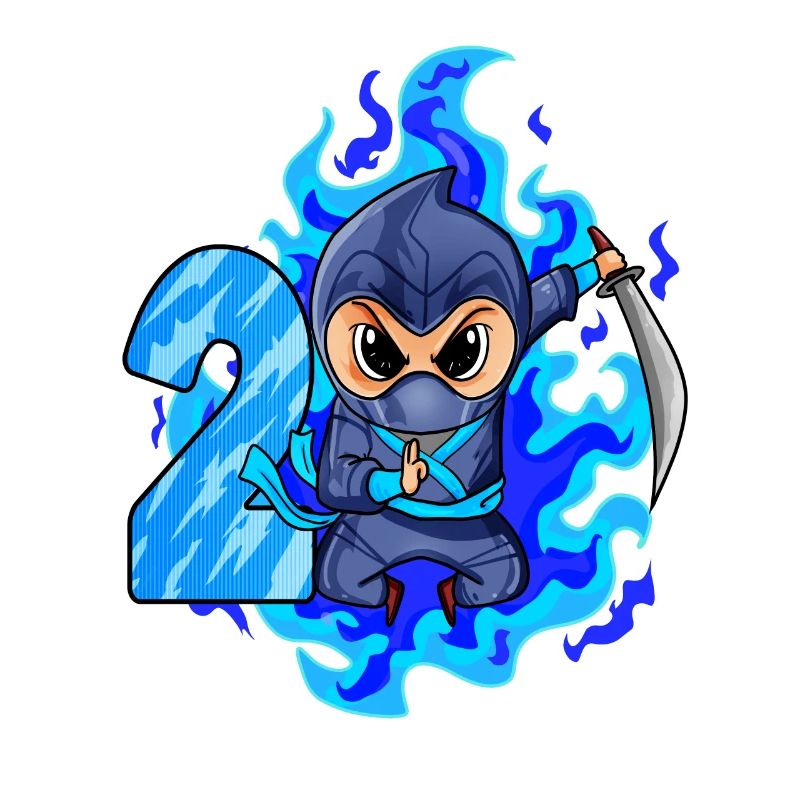 2. Geburtstag Junge 2 Jahre alt Ninja