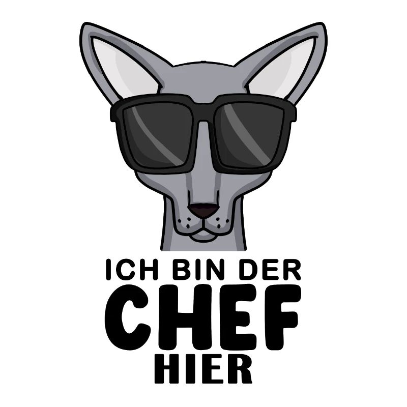 coole Katze - Sphynx Katze Spruch