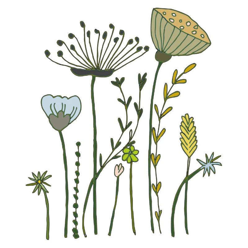 Fleurs séchées