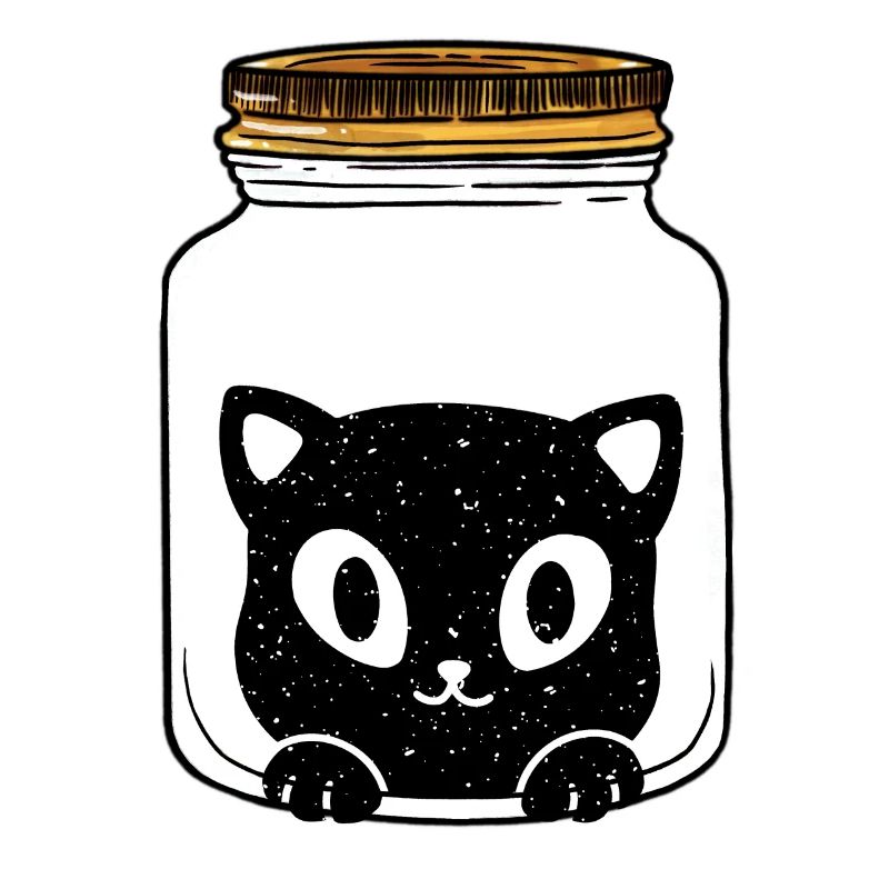 Idée cadeau chat chat