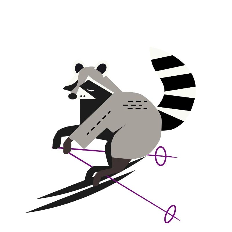 Cute Skier Raccoon–Fun and Dynamic